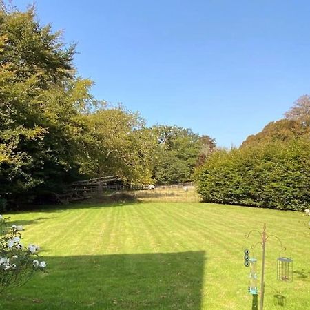 比明斯特The Dower House At Parnham Park别墅 外观 照片