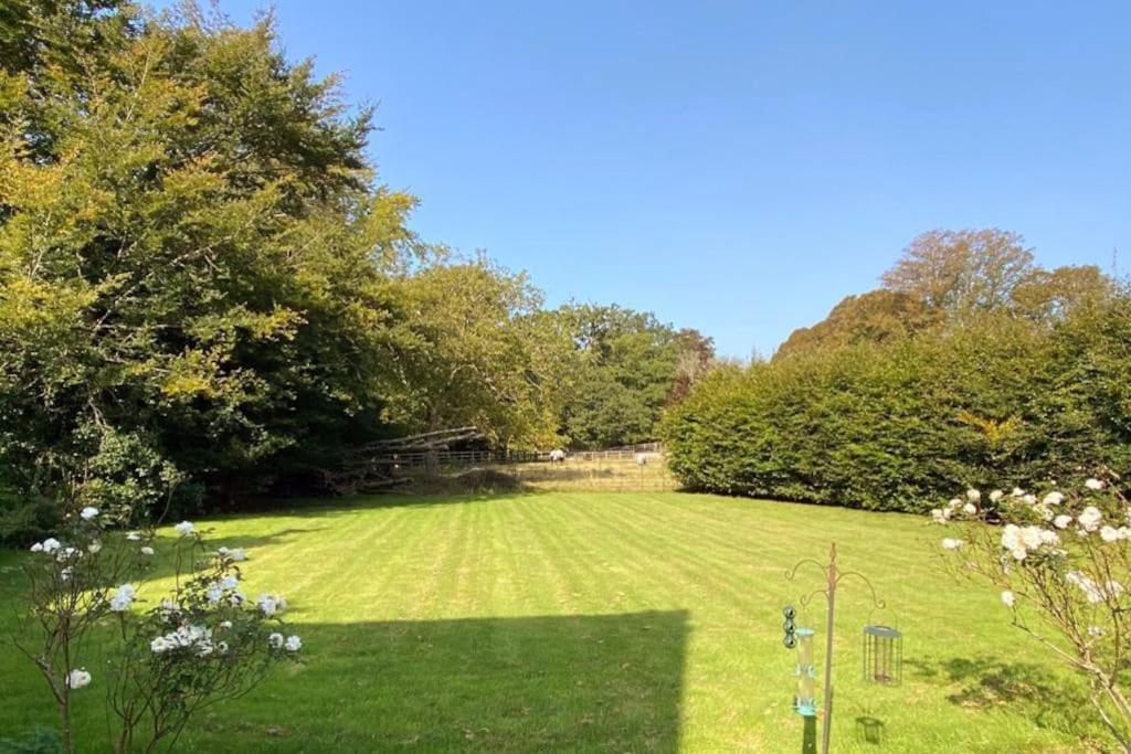 比明斯特The Dower House At Parnham Park别墅 外观 照片